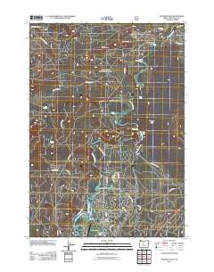 2011 Map of Benham Falls, 2011 Print