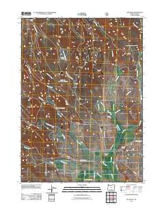 2011 Map of Big Baldy, 2011 Print
