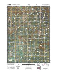 2011 Map of Big Butte Springs, 2011 Print