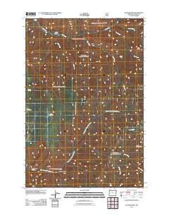 2011 Map of Big Meadows, 2011 Print