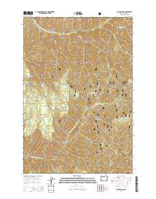 2014 Map of Big Meadows, 2014 Print