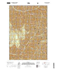 2020 Map of Big Meadows, 2020 Print