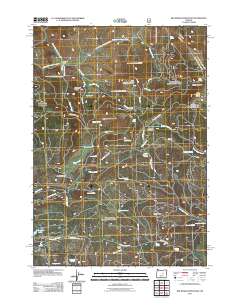 2011 Map of Big Mowich Mountain, 2011 Print
