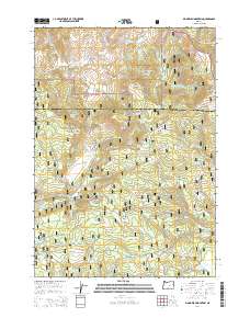 2014 Map of Big Mowich Mountain, 2014 Print