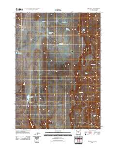 2011 Map of Big Mud Flat, 2011 Print