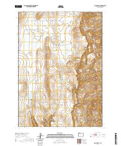 2020 Map of Big Mud Flat, 2020 Print