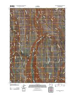 2011 Map of Big Pasture Creek, 2011 Print