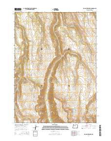 2014 Map of Big Pasture Creek, 2014 Print
