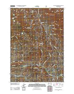 2011 Map of Big Weasel Springs, 2011 Print