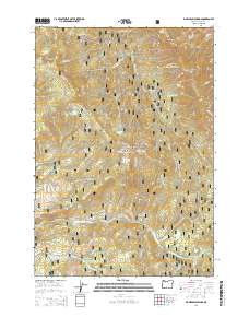 2014 Map of Big Weasel Springs, 2014 Print