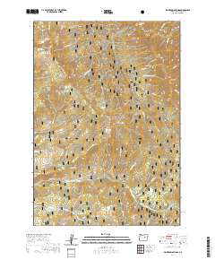 2020 Map of Big Weasel Springs, 2020 Print