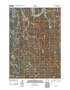 2011 Map of Bill Peak, 2011 Print