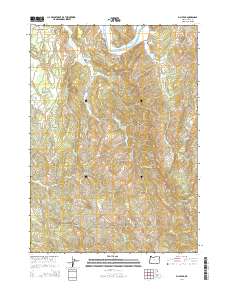 2014 Map of Bill Peak, 2014 Print