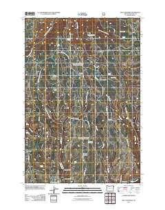 2011 Map of Billy Meadows, 2011 Print