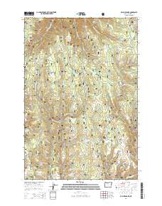 2014 Map of Billy Meadows, 2014 Print