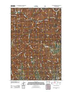 2011 Map of Bingham Springs, 2011 Print
