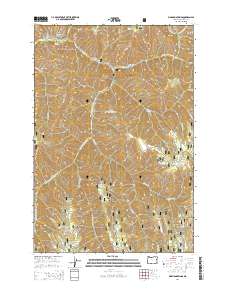 2014 Map of Bingham Springs, 2014 Print