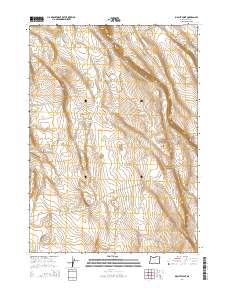 2014 Map of Biscuit Point, 2014 Print