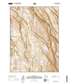 2020 Map of Biscuit Point, 2020 Print