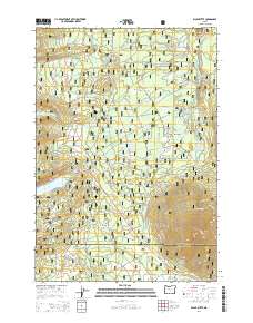 2014 Map of Black Butte, 2014 Print