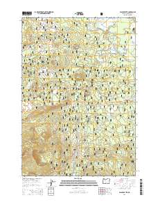 2014 Map of Black Crater, 2014 Print