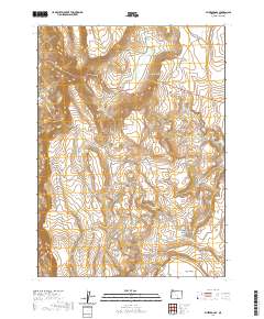 2020 Map of Blizzard Gap, 2020 Print