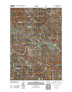2011 Map of Blue Canyon, 2011 Print