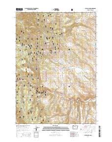 2014 Map of Blue Canyon, 2014 Print