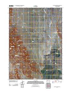 2011 Map of Boghole Spring, 2011 Print