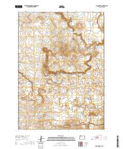 2020 Map of Bogus Bench, 2020 Print