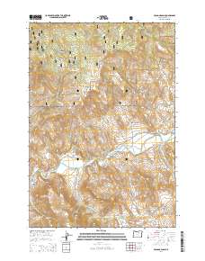 2014 Map of Bologna Basin, 2014 Print