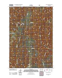 2011 Map of Bone Spring, 2011 Print