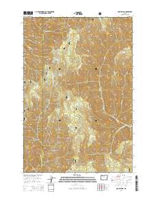 2014 Map of Bone Spring, 2014 Print