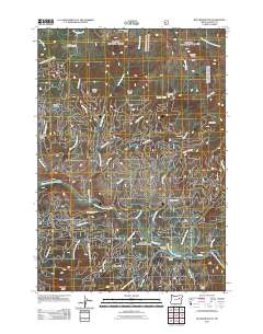 2011 Map of Boulder Butte, 2011 Print