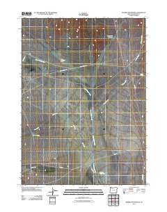 2011 Map of Bowden Waterhole, 2011 Print