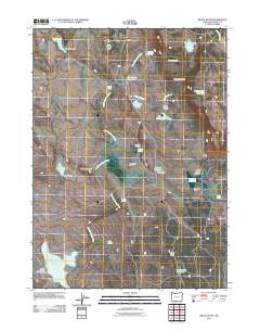 2011 Map of Brady Butte, 2011 Print