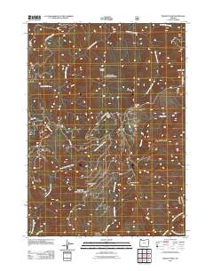 2011 Map of Brandy Peak, 2011 Print