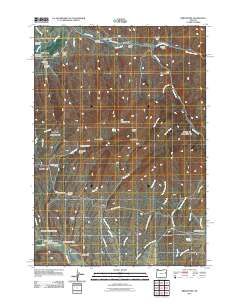 2011 Map of Bridgeport, 2011 Print