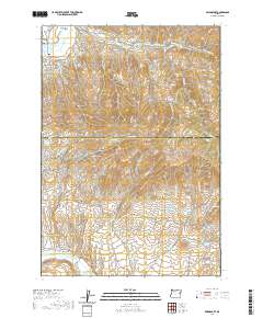 2020 Map of Bridgeport, 2020 Print