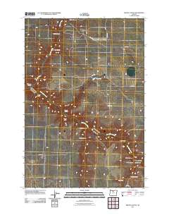2011 Map of Bronx Canyon, 2011 Print
