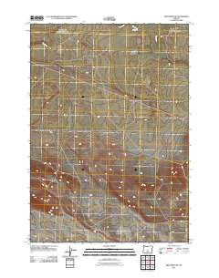 2011 Map of Brothers SW, 2011 Print