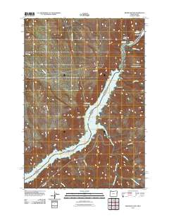 2011 Map of Brownlee Dam, 2011 Print