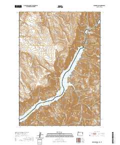 2020 Map of Brownlee Dam, 2020 Print