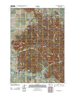 2011 Map of Brownsville, 2011 Print