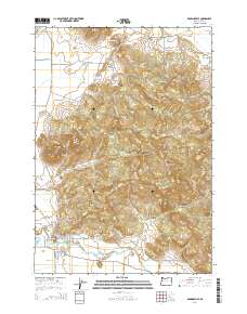 2014 Map of Brownsville, 2014 Print