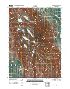 2011 Map of Bryant Mountain, 2011 Print