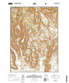 2020 Map of Buchanan, 2020 Print