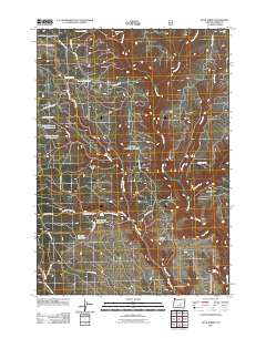 2011 Map of Buck Spring, 2011 Print