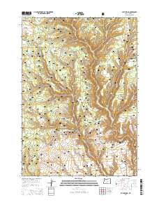 2014 Map of Buck Spring, 2014 Print