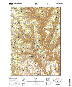 2020 Map of Buck Spring, 2020 Print